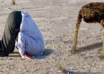 «Ջայլամի քաղաքականությունը» տանում է փակուղի