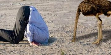 «Ջայլամի քաղաքականությունը» տանում է փակուղի