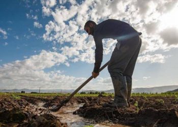 ՋՕԸ-ներին դարձյալ պետբյուջեից գումար կտրվի