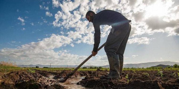 ՋՕԸ-ներին դարձյալ պետբյուջեից գումար կտրվի