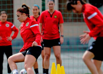 Սկսել են նախապատրաստվել ընկերական հանդիպումներին