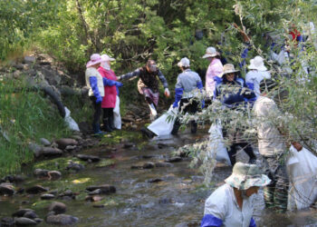 Բնությունը խնամք ու հոգատարություն է պահանջում