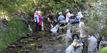 Բնությունը խնամք ու հոգատարություն է պահանջում