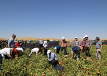 Գյուղերին նպատակային աջակցություն է պետք