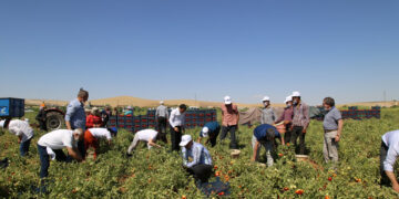 Գյուղերին նպատակային աջակցություն է պետք