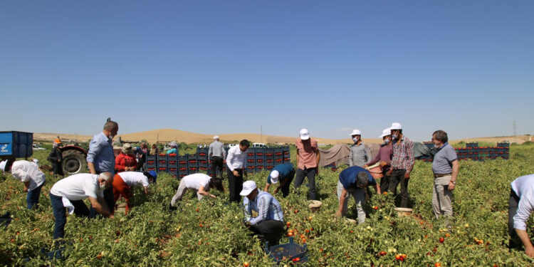 Գյուղերին նպատակային աջակցություն է պետք