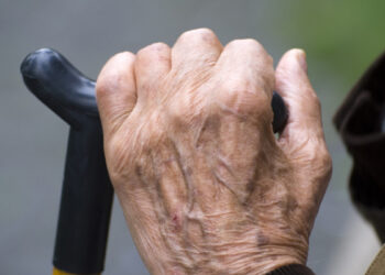 Հայի ուղին հանունն է