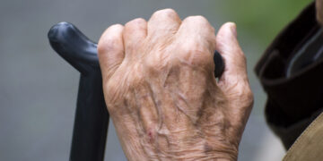 Հայի ուղին հանունն է