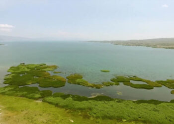 Սեւանն այս տարի էլ, հավանաբար, «կծաղկի»