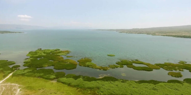 Սեւանն այս տարի էլ, հավանաբար, «կծաղկի»