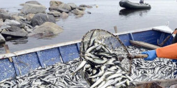 Սեւանը մեզ համար միայն սննդի պաշար չէ