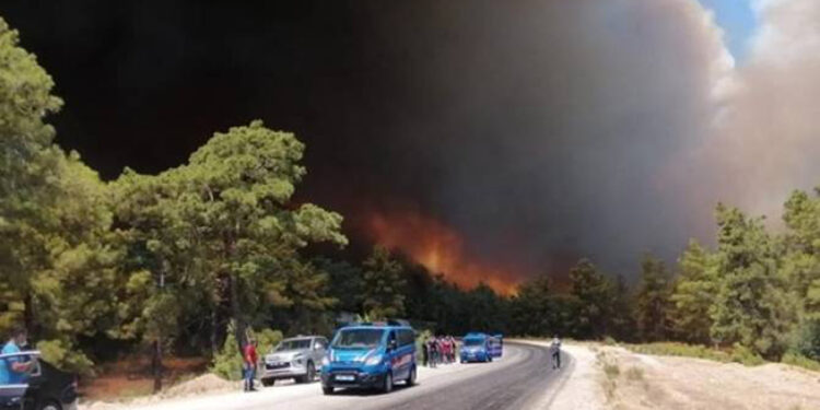 Անթալիայի խոշոր հրդեհի մարմանը մասնակցում է շուրջ 1000 հրշեջ, տուժել է 53 մարդ