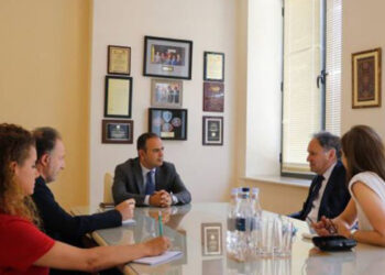 Ֆրանսիայի հայկական կազմակերպությունները համակարգող խորհուրդը կլինի հայկական պետության կողքին. Արա Թորանյան