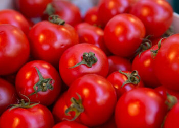 «Ռոսսելխոզնադզոր»-ը թույլ չի տվել Ռուսաստան մտցնել ադրբեջանական լոլիկն ու դեղձը