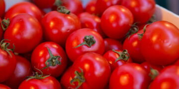 «Ռոսսելխոզնադզոր»-ը թույլ չի տվել Ռուսաստան մտցնել ադրբեջանական լոլիկն ու դեղձը