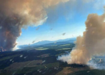 Մոլորակին սպասվում են անոմալ շոգի նոր ալիքներ. գիտնականներ