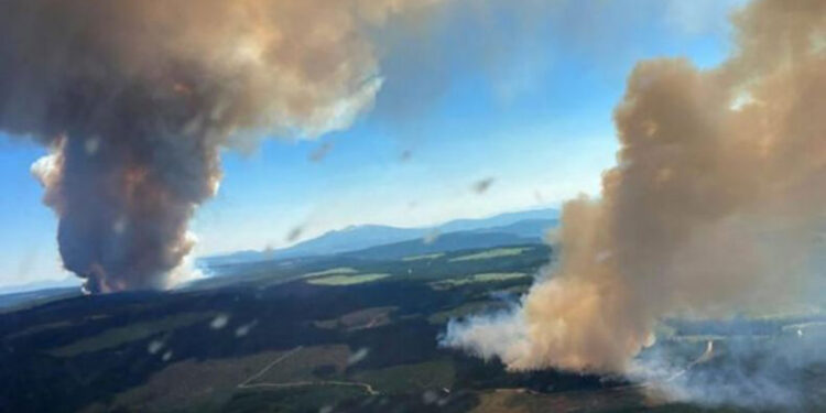 Մոլորակին սպասվում են անոմալ շոգի նոր ալիքներ. գիտնականներ