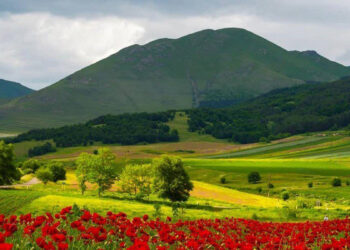 Որտեղ է ծնվել հայրենիքդ