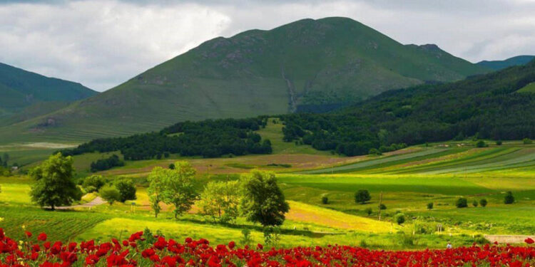 Որտեղ է ծնվել հայրենիքդ