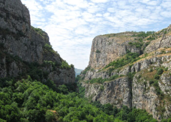 Հունոտի ձորը նորից… որբացավ