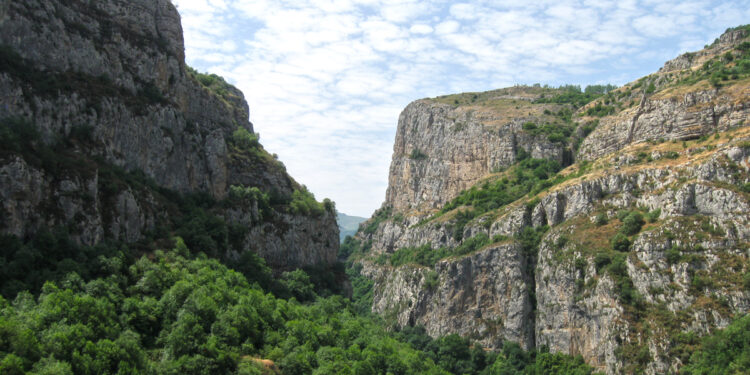Հունոտի ձորը նորից… որբացավ