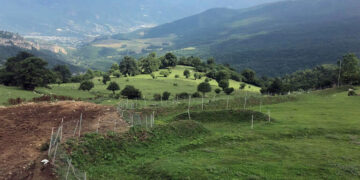 Ո՛չ միայն քաղաքական եւ ռազմական տեսանկյունից