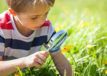 «Ես եւ շրջակա աշխարհը»
