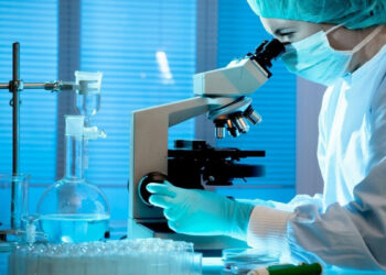 ՀՀ ամենամեծ անասնաշուկան ՍԱՏՄ-ի խիստ հսկողության տակ է