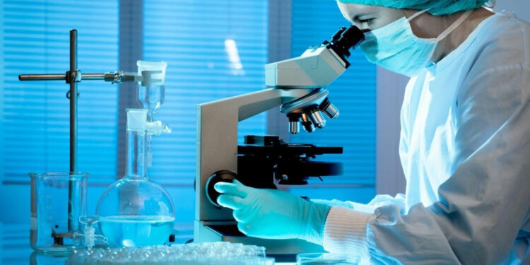 ՀՀ ամենամեծ անասնաշուկան ՍԱՏՄ-ի խիստ հսկողության տակ է