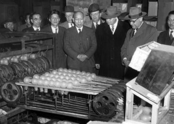 «Հայաստանը պետք է հոգեկերտվածքի խնդիր դնի նորից»