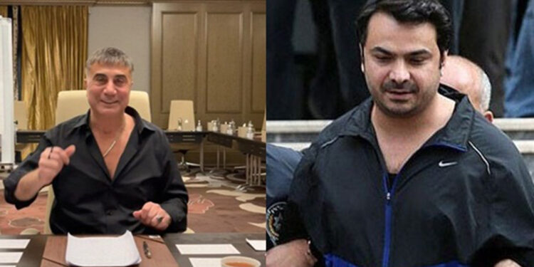 Բացատրութիւն կը պահանջուի Սոյլուի խօսքերուն համար