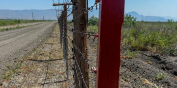 Հայաստանը կարող է վերածվել ազդեցիկ գործոնի