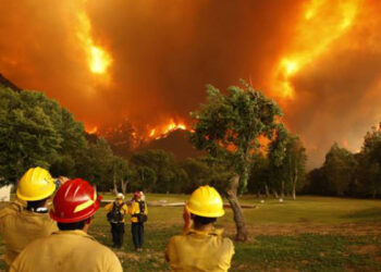 Եվրամիությունը եվրոպական երկրներին օգնություն ցույց կտա անտառային հրդեհների դեմ պայքարում