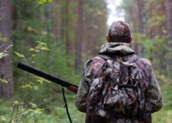 Հայաստանում մեկնարկում է սիրողական որսաշրջանը. սահմանվել են որսի թույլատրելի չափաքանակները և ժամկետները