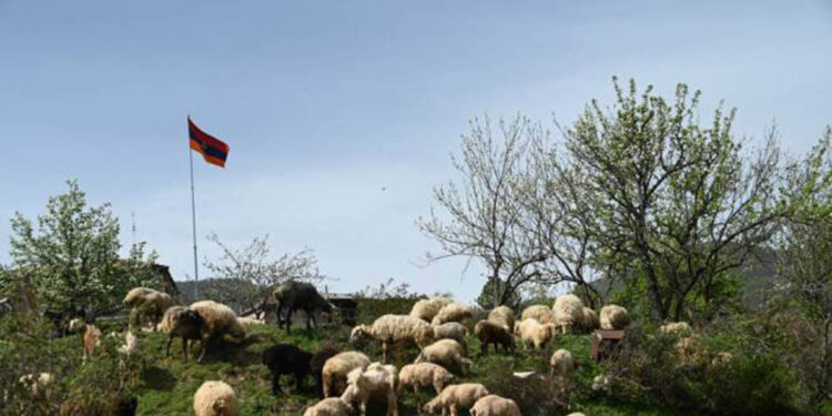 Գորիս-Կապան ճանապարհի բացման շուրջ բանակցությունները շարունակվում են