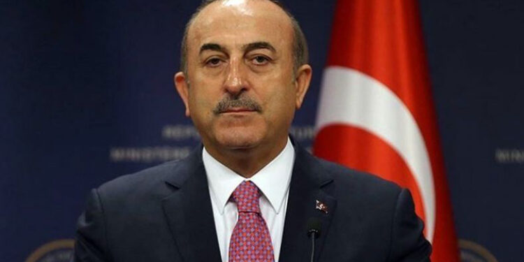 Ֆրանսիան և Հունաստանը խոստացել են հրշեջ օդանավեր ուղարկել, ապա վերանայել են իրենց որոշումները. Մևլութ Չավուշօղլու