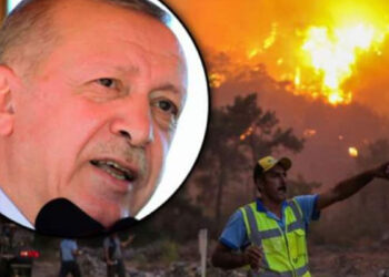 Էրդողանը քրդերին կապել է երկրում մոլեգնող անտառային հրդեհների հետ