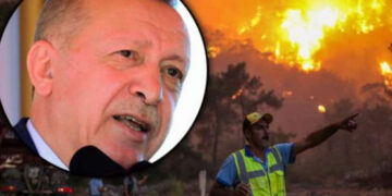 Էրդողանը քրդերին կապել է երկրում մոլեգնող անտառային հրդեհների հետ