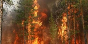 Թուրքիան անտառային հրդեհներից առաջ ծախսել է բյուջեի ընդամենը մի մասը անտառի պահպանման համար