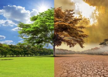 Բնության «գործերին» ցանկացած միջամտություն հղի է վնասներով