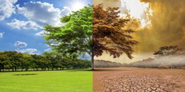 Բնության «գործերին» ցանկացած միջամտություն հղի է վնասներով