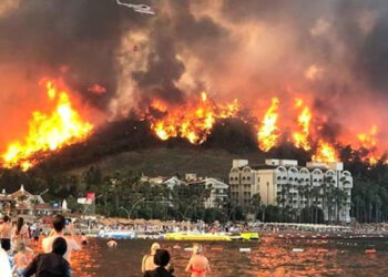 «Կրակի երեխաներ» կազմակերպությունը ստանձնել է Թուրքիայում անտառների հրկիզման պատասխանատվությունը