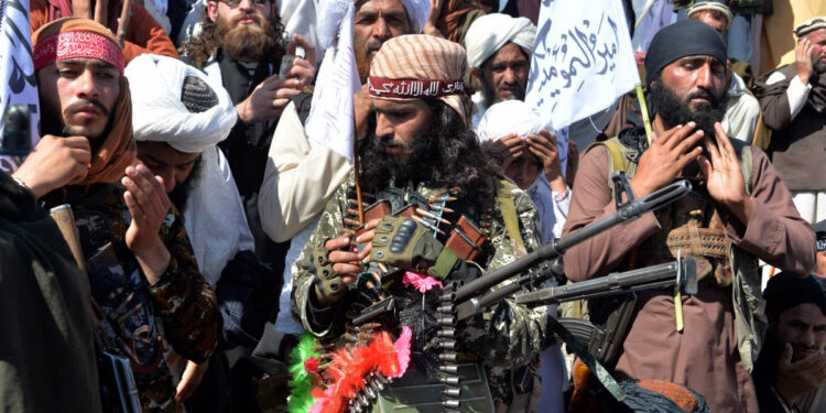 Ընդհանրություններն ավելի շատ են, քան տարբերությունները