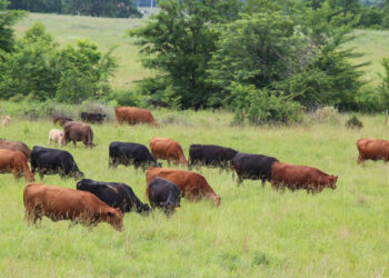 Թվերի հետեւում միայն գյուղացու սոցիալական վիճակը չէ