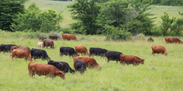 Թվերի հետեւում միայն գյուղացու սոցիալական վիճակը չէ