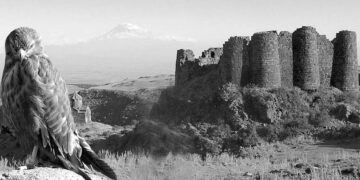 Ինքնահարցաքննություն