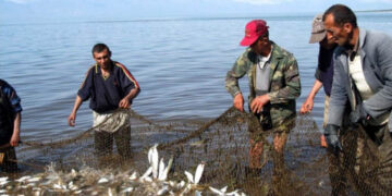 Լրացուցիչ 50 տոննա սիգի որս է թույլատրվել