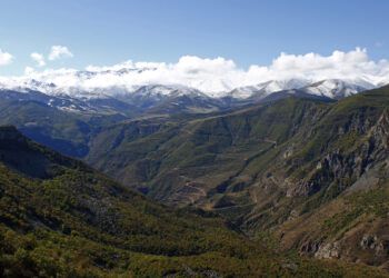 Համագործակցությո՞ւն, թե՞ սեղմվող օղակ
