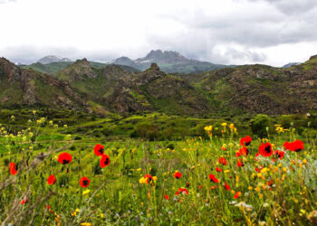 Օղեկապ գոտու թուլացնողն էլ ենք մենք, ձգողն էլ