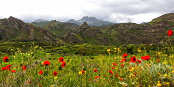 Օղեկապ գոտու թուլացնողն էլ ենք մենք, ձգողն էլ